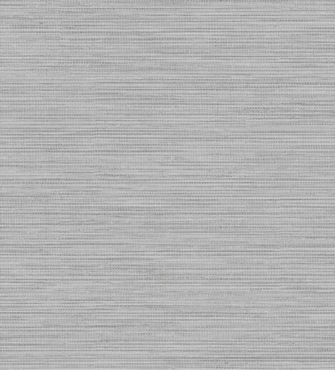 177204